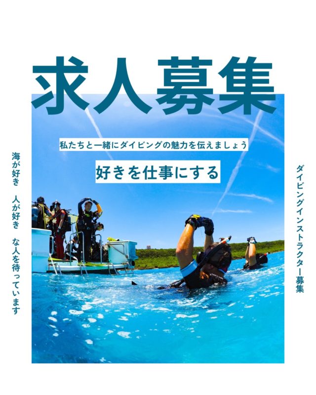 ダイビングスクール マレア
未来を共に創る仲間を探しています
⁡
創業30年。
全国11拠点（リゾート4・都市7）を展開しています。
⁡
私たちは今も「挑戦する気持ち」を大切にしています。
⁡
明確な評価制度のもと、
一人ひとりのチャレンジをきちんと評価し、
10年、20年先を見据えたビジョンに向かって進んでいます。
⁡
これまで積み上げてきたノウハウと、
新しい技術やアイデアを掛け合わせ、
この業界の新しいスタンダードをつくっていきたい。
⁡
安定した環境の中で、
自分らしく挑戦していきたい方へ。
一緒に未来を創っていけたら嬉しいです。
⁡
#ダイビングインストラクター募集
#東京大阪名古屋福岡
#沖縄で働く
#都会と海をつなぐ仕事
#未経験からプロへ