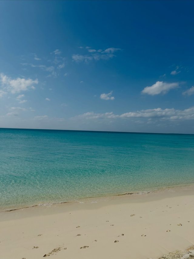 マリンロッジマレア宮古島のホテル前のビーチでゆっくり🏖️
プライベートビーチかと思うくらい
人は少なくゆっくり宮古ブルーを堪能出来ます☺️✌🏽

ダイビング終わりに、ここでゆっくりしたらもう旅行は最高🍻
癒されに来てください❣️