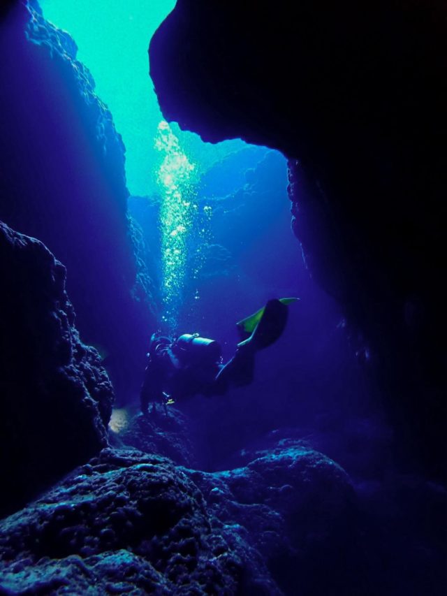 【わくわく洞窟探検😍】

宮古島のダイビングは洞窟探検がほんとに楽しい！！😆✨

暗がりを進んでいくハラハラドキドキの地形ダイビングで是非お気に入りの１枚を撮りましょ〜♪♪
—————————————
ライセンス講習🤿
⛄️早割キャンペーン開催中⛄️
⁡
公式LINE・お電話☎️:0980-76-3850
DM💌にてお問い合わせください❣️
-————————————
今日の気温🌡️ 19℃
今日の水温🪼 23℃
今日の海🏖️:下地エリア🐟
①35ホール
②なるほどTHEケーブ
③女王の部屋

#ダイバーが見る景色　が待ってます😍
#宮古島 #ダイビング #ワクワク#洞窟探検