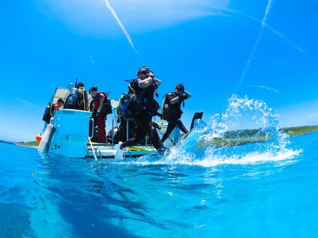 【わくわく🥰】

エントリーの瞬間ってワクワクしますよね😍
綺麗な海にダイブ✨
何が待ってるかなぁ〜😳

—————————————
ライセンス講習🤿
⛄️早割キャンペーン開催中⛄️
⁡
公式LINE・お電話☎️:0980-76-3850
DM💌にてお問い合わせください❣️
-————————————
今日の気温🌡️ 26℃
今日の水温🪼 22℃
今日の海🏖️:伊良部エリア🐡
①サバ沖ガーデン
②クロスホール
③崖下⁡
 #宮古島  #海  #エントリー  #ダイビング