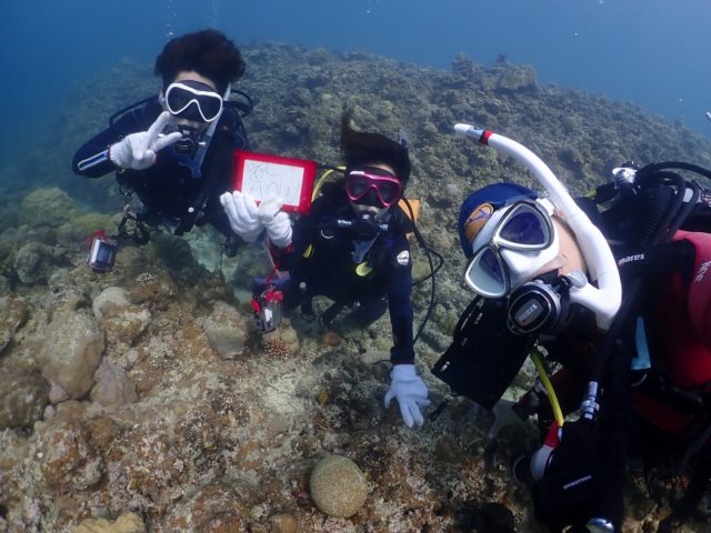 こんばんはー！！じゅんです🙆‍♂️
AOW海洋講習へー！！
クマノミと写真撮ったり！
ウミガメと写真撮ったり！！！

ライセンス講習で、こんなに生き物観察出来るなんて…😭
明日から新年度！！
新生活にダイビングもってこーーーいです👏👏

#マレア #ダイビング #ダイビングライセンス #石垣島 #padi