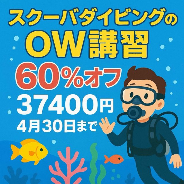 🤿講習割引開催中🤿
⁡
4/30日まで通常の60％引き⁉️
島民の方は連日講習じゃなくても別日程での開催可能‼️
⁡ダイビングを始めるなら今だ🤩新しい世界に飛び込もう🏖

公式LINE・お電話☎️:0980-76-3850
DM💌にてお問い合わせください❣️⁡
 #ダイビング  #講習  #宮古島  #割引